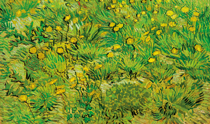  文森特·威廉·梵高  Vincent Willen Van Gogh ——田野中的蒲公英